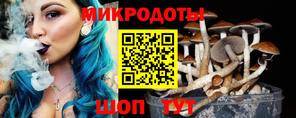 Нефтекумск  Галлюциногенные грибы MAGIC MUSHROOMS  Вход с VPN 